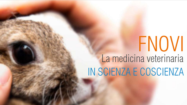 Immagine: 