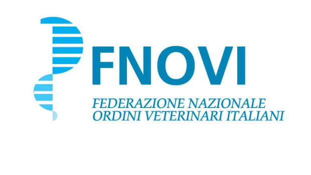 Immagine: 