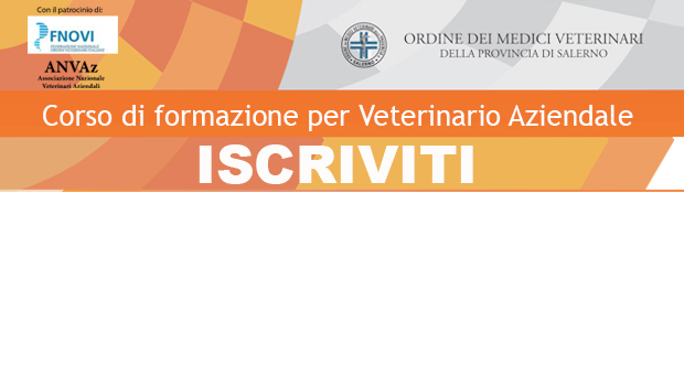 Immagine: 