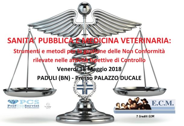 Immagine: 