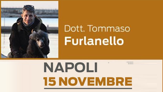 Immagine: 