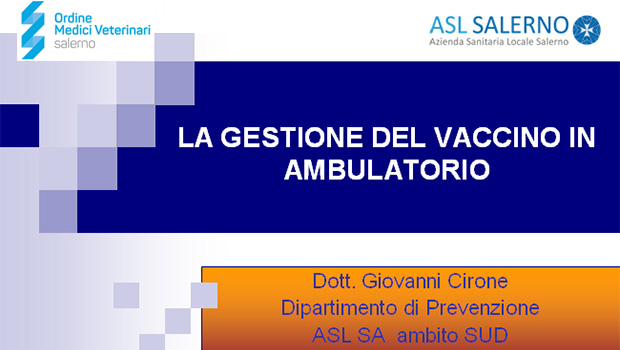 Immagine: 