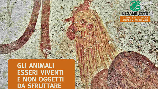 Immagine: 