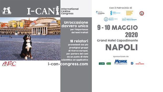 Immagine: 