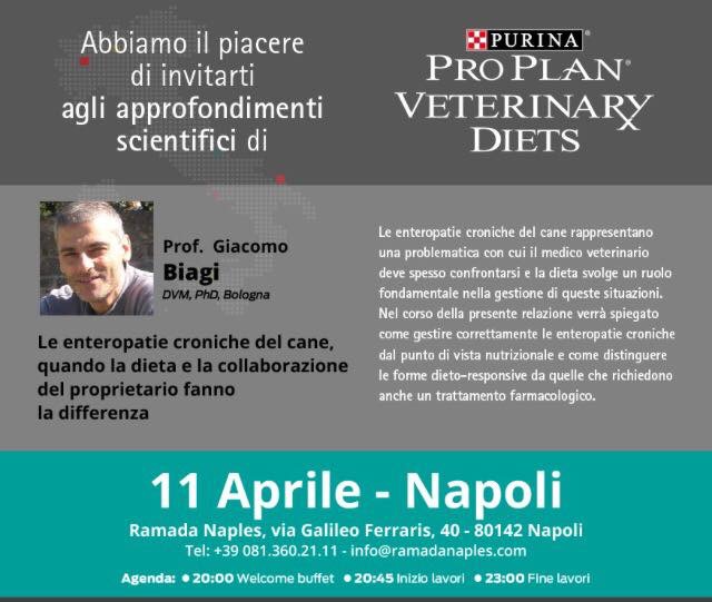 Immagine: 