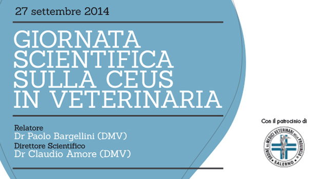 Immagine: 