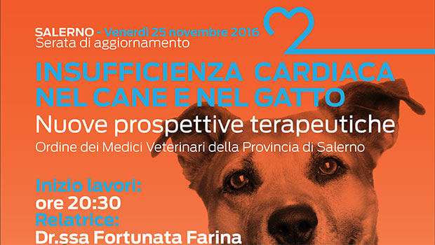 Immagine: 