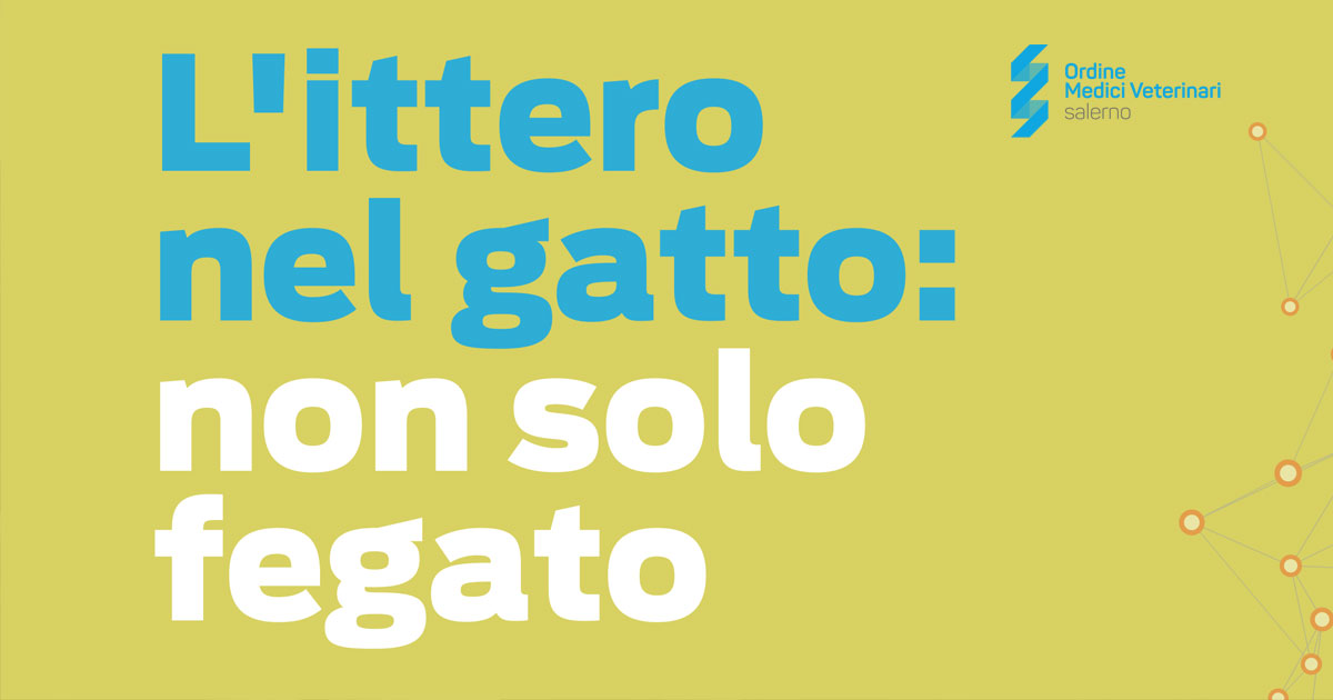 Immagine: 