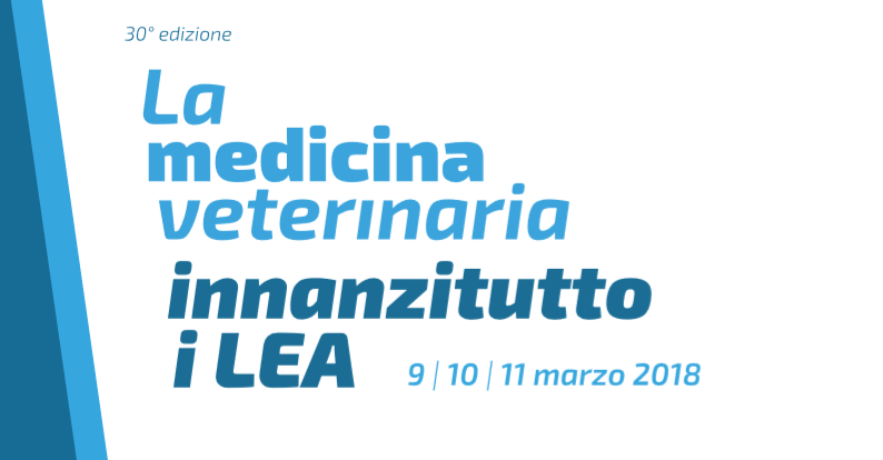 Immagine: 