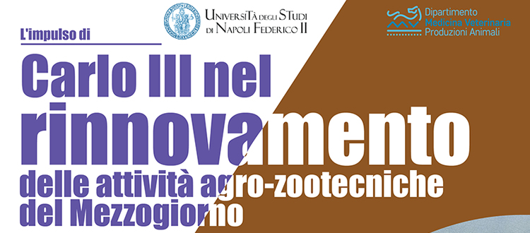 Immagine: 