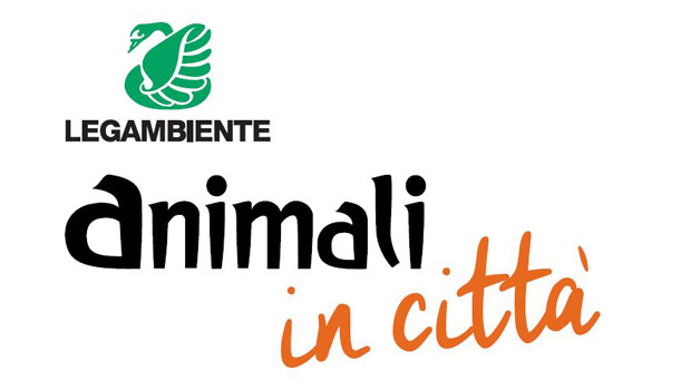 Immagine: 