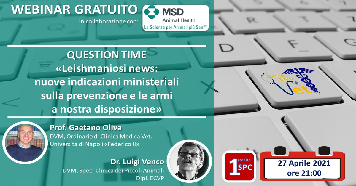 Immagine: 