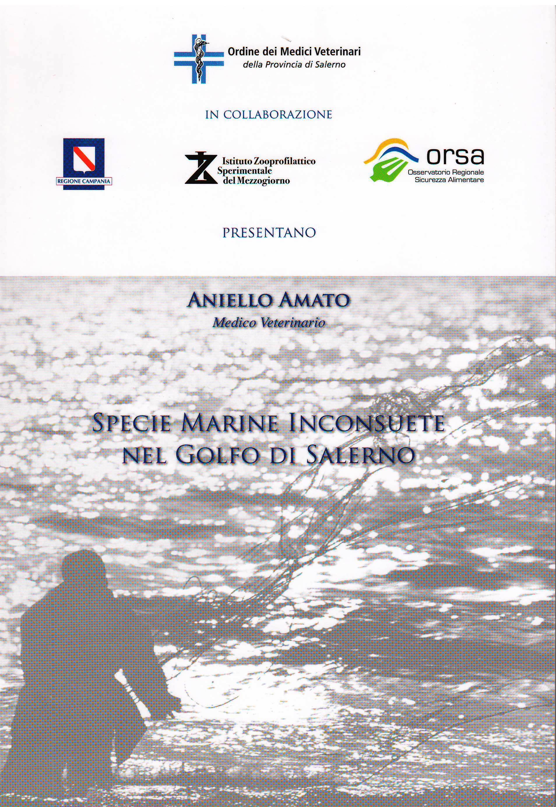 Immagine: 