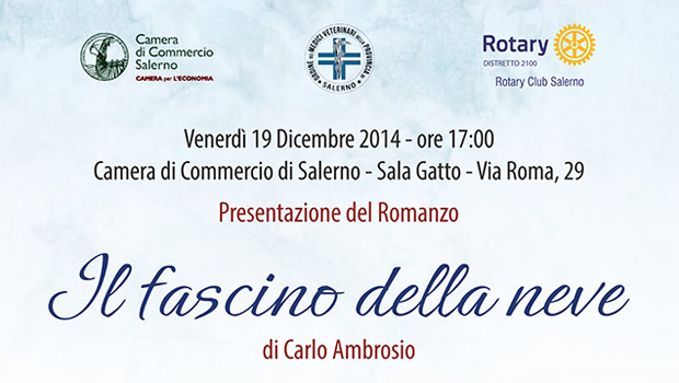 Immagine: 