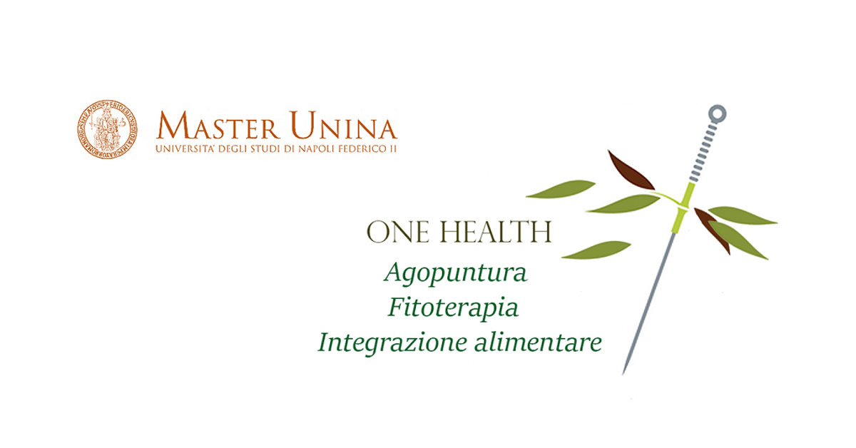 Immagine: 