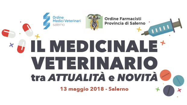 Immagine: 