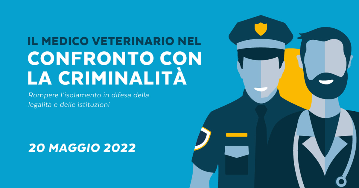 Immagine: 