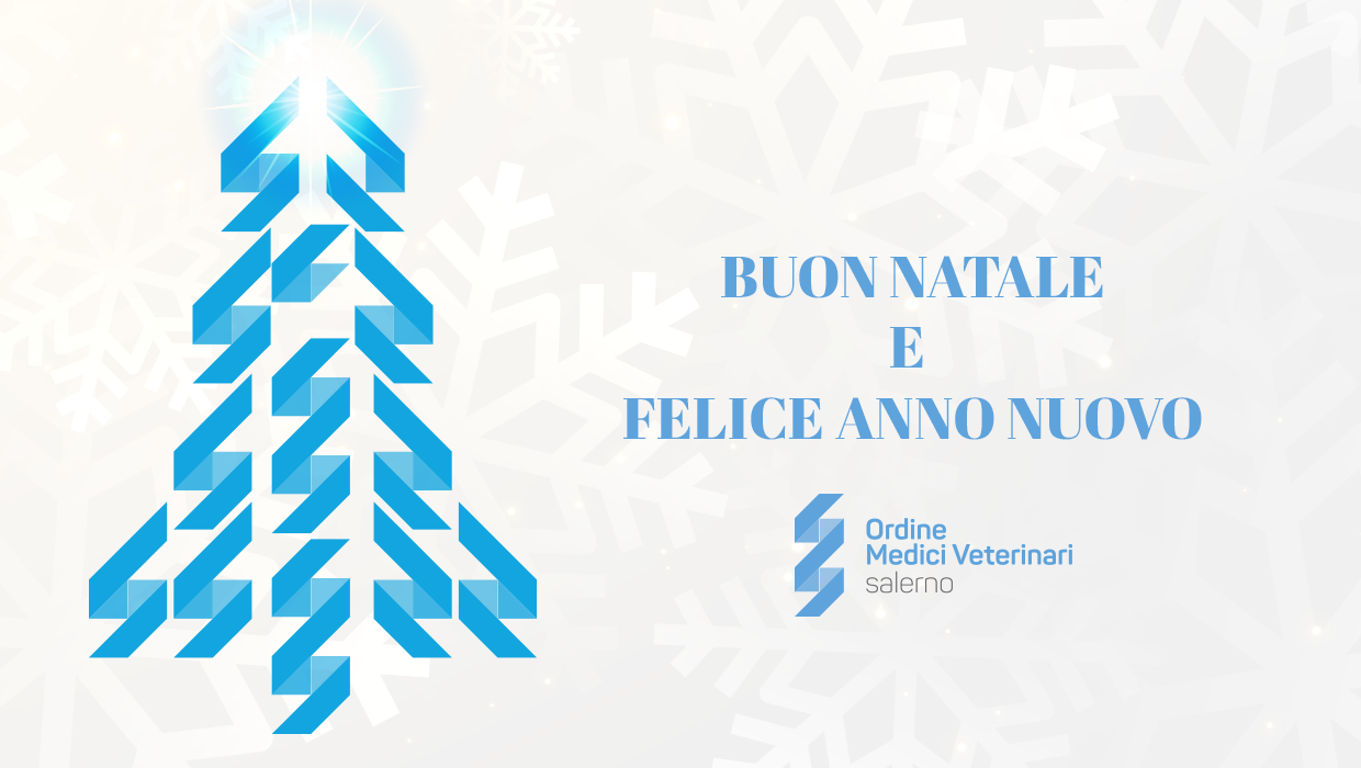 Immagine: 