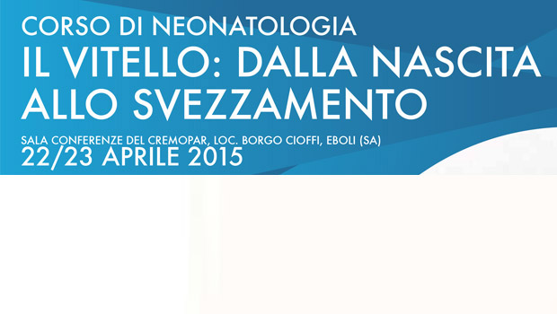 Immagine: 
