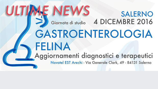 Immagine: 