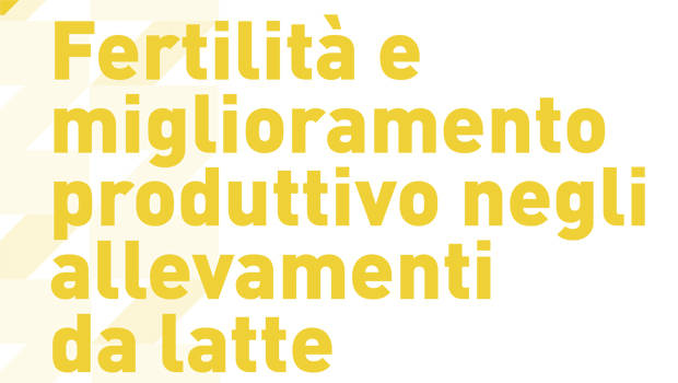 Immagine: 