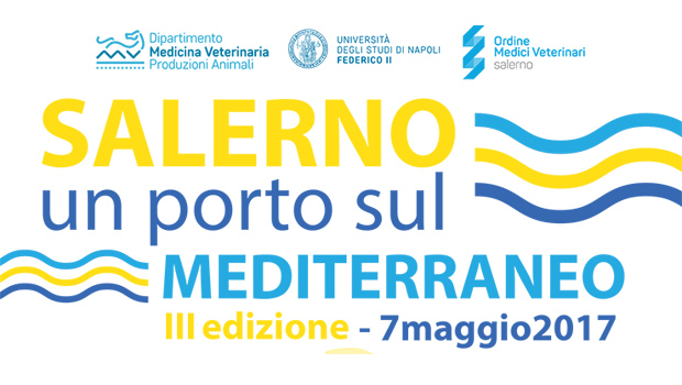 Immagine: 