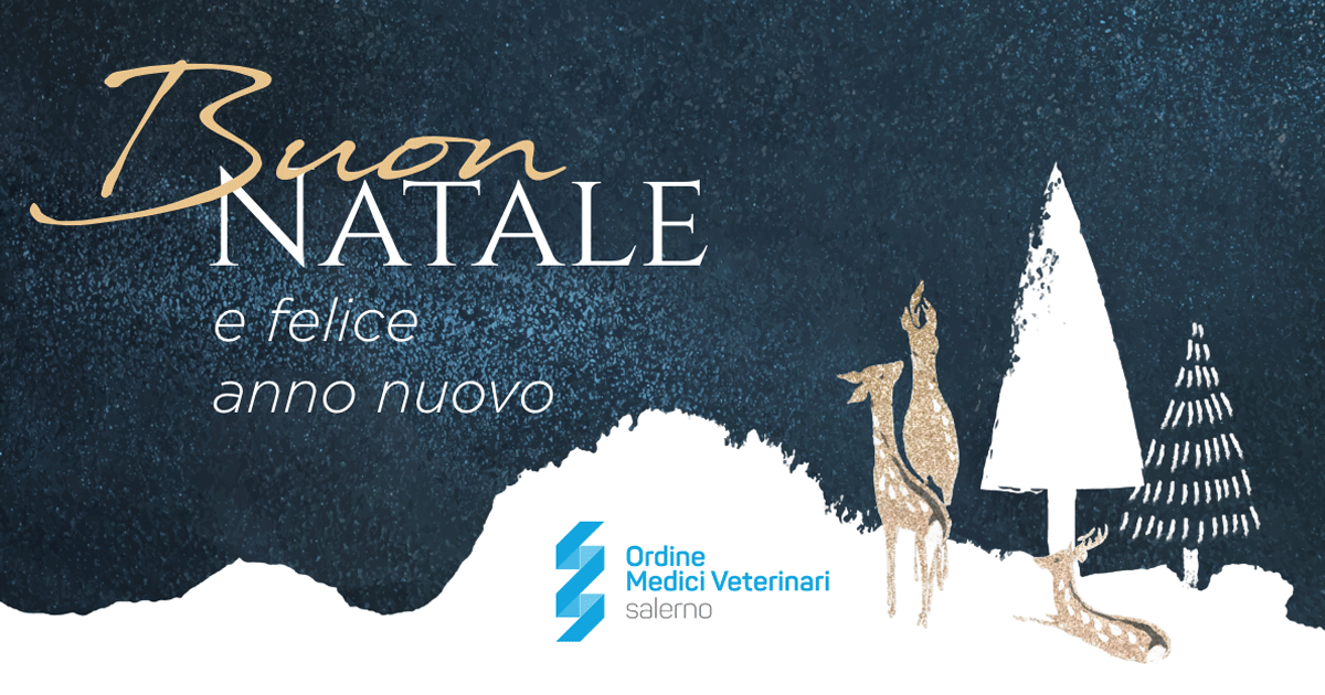 Immagine: 