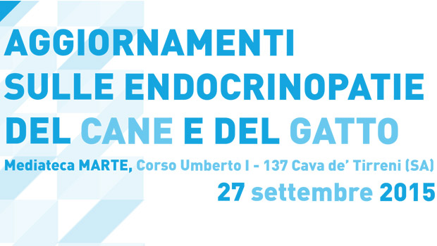 Immagine: 