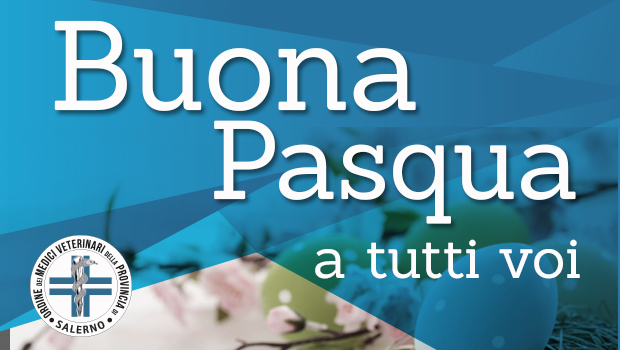 Immagine: 