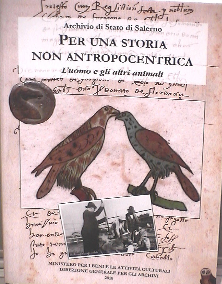 Immagine: 