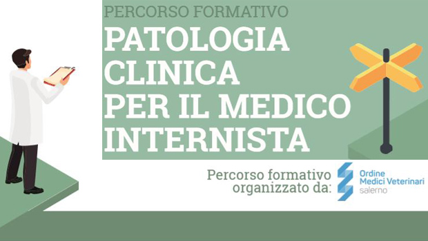 Immagine: 