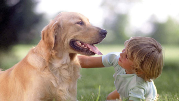 Immagine: 