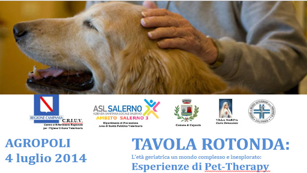 Immagine: 