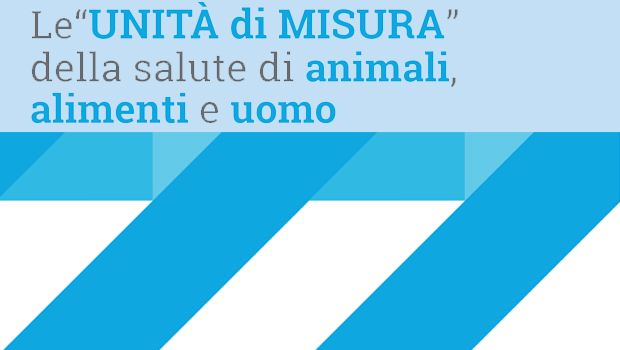 Immagine: 