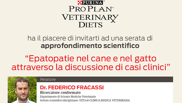 Immagine: 
