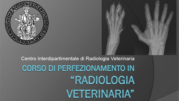Immagine: 