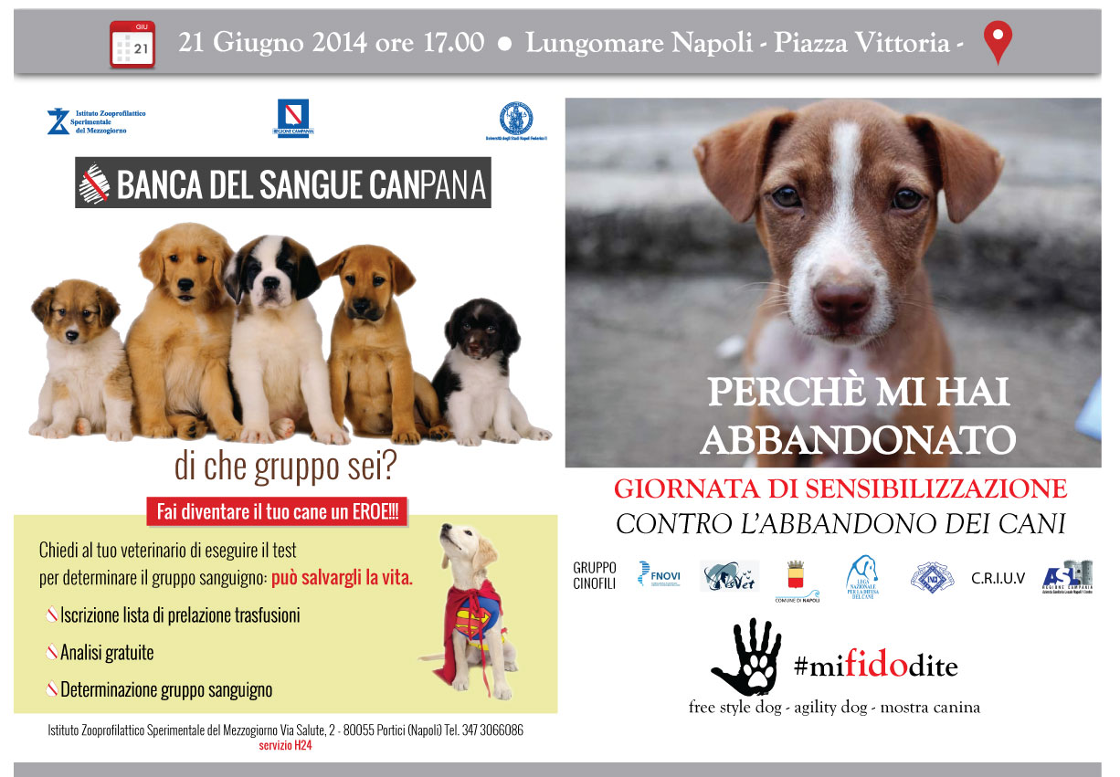 Immagine: 