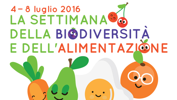 Immagine: 