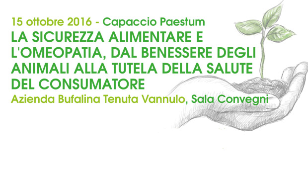 Immagine: 