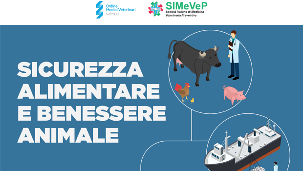 Immagine: 