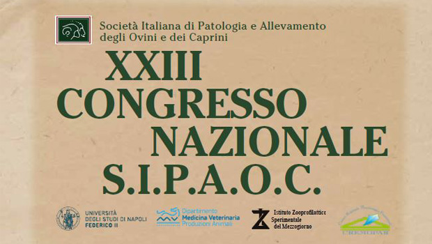 Immagine: 