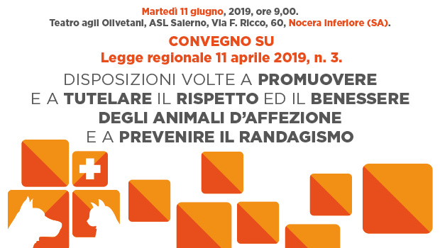 Immagine: 