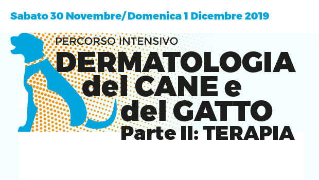 Immagine: 