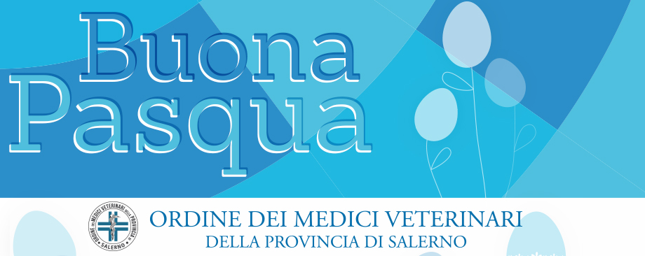 Immagine: 