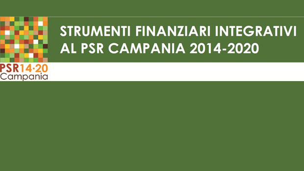 Immagine: 