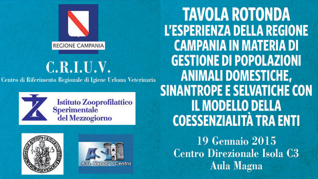 Immagine: 