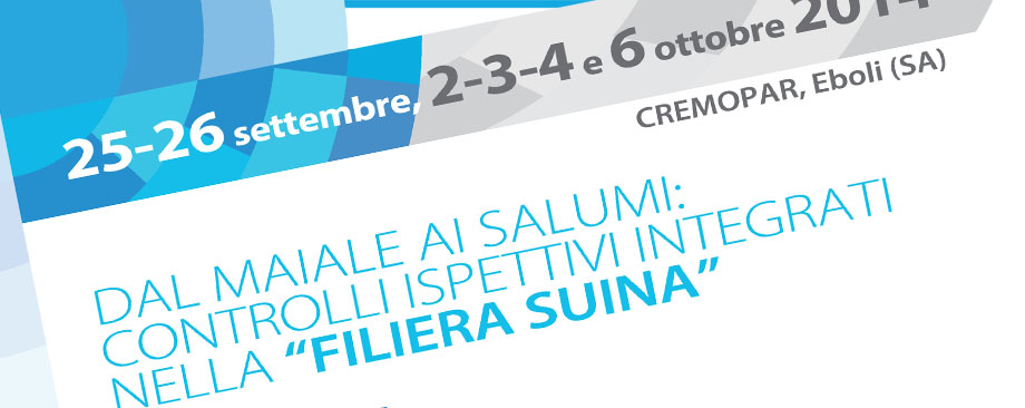 Immagine: 