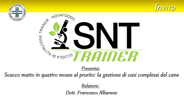 Immagine: 