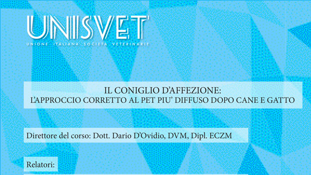 Immagine: 