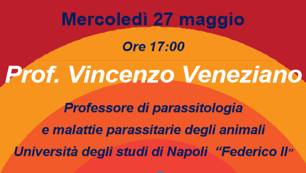 Immagine: 
